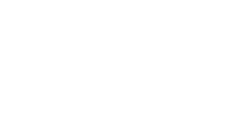 WordPress Developer - eTraverse