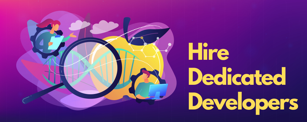 hire dedicated web developer