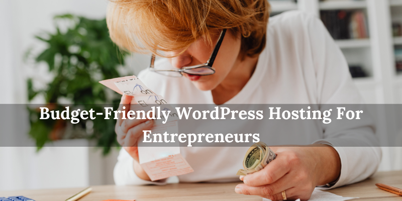 Budget Friendly WordPress Hosting For Entrepreneurs